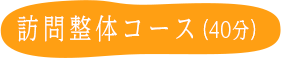 訪問整体コース